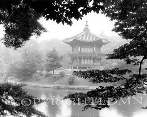 Lotus Pavilion, Korea 93