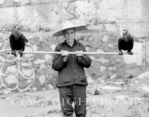 Man With Cormiers, China 91