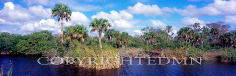 Everglades Panorama, Florida 07 - Color Pan