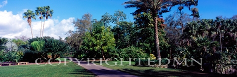 Fairchild Gardens Panorama #1, Florida 07 - Color Pan