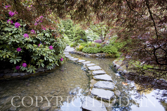 Stepping Stones at Butchart Gardens #2, Victoria, B.C. 09 - color