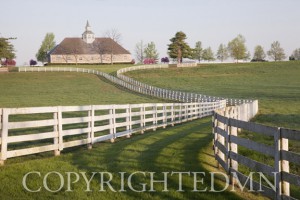 Fence & Farm #1, Lexington, Kentucky 10-Color