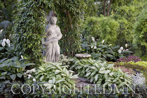 Statue In The Garden, Nashville, Tennessee 10-Color