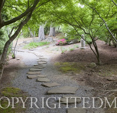 Stepping Stones In The Woods, Nashville, Tennessee 10-Color