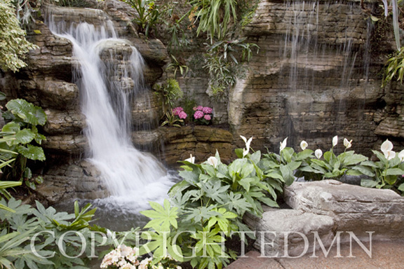 Waterfall & Flowers #2, Nashville, Tennessee 10-Color
