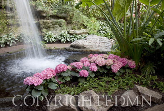 Waterfall & Flowers, Nashville, Tennessee 10-Color