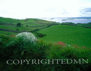 Fields Of Green #3, Ireland 92