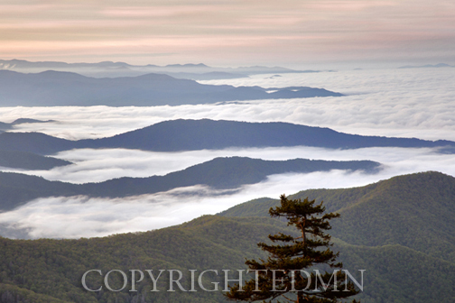View from Clingmans Dome #2, Great Smoky Mountians, Virginia - Color