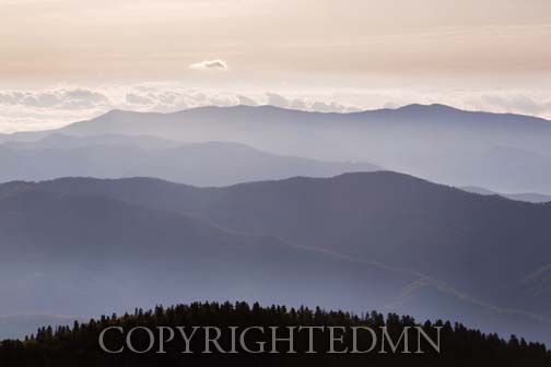 View from Clingmans Dome, Great Smoky Mountians, Virginia - Color