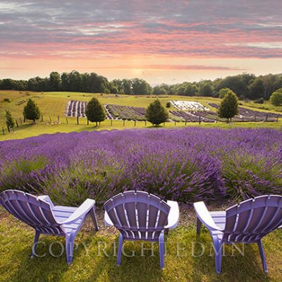Lavender Chairs, Horton Bay, Michigan 14-color.tif