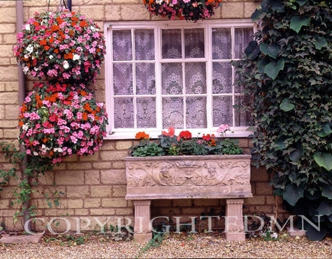 Flowers By Lace Window, Bibury, England