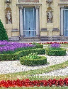 French Gardens #1, Warsaw, Poland 05