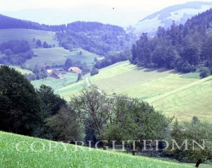 Hills Of Batenweiler, Batenweiler, Germany 87