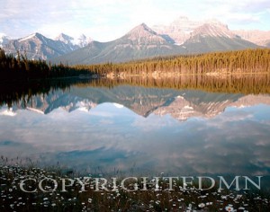 Lake Herbert, Alberta, Canada 94