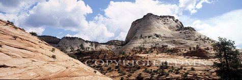 Mountain At Zion National Park, Utah 93 - Color Pan
