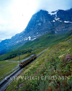 Mountain Train #1, Kleine Scheidegg, Switzerland