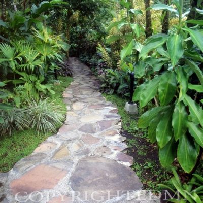 Pathway #1, Costa Rica 04