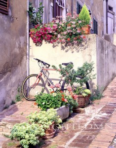 Bike Among The Flowers, Italy 01
