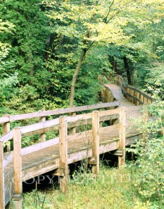 Pathway To Wagner Falls, Munising, Michigan