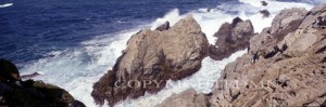 Pinnacle Cove, Point Lobos, California 95 - Color Pan