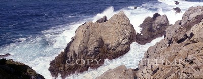 Pinnacle Cove, Point Lobos, California 95 - Color Pan