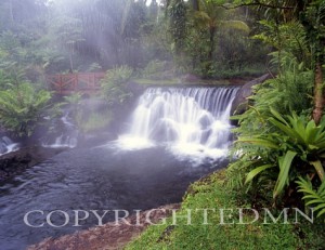 Tabacon Falls & Bridge, Fortuna, Costa Rica 04