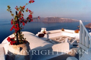 Terrace On Santorini, Greece 91