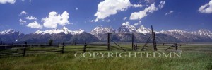 Tetons & Fence, Jackson Hole, Wyoming 95