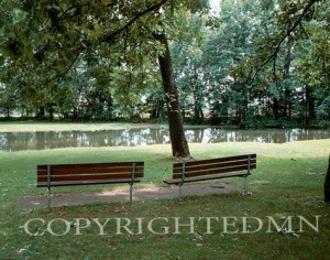 Two Benches, Michigan