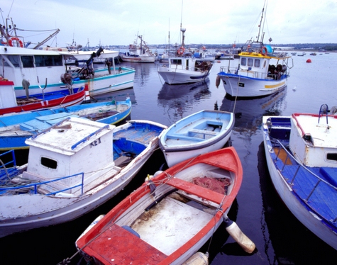Sicilian Boats #2, Sicily, Italy 06 - Color