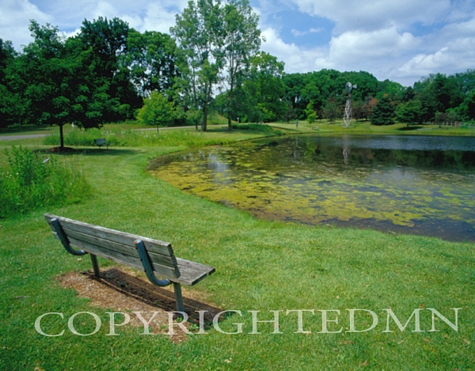 Bench & Pond, Michigan 06 - Color