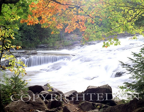 Bond Falls With Fall Foliage, Bruce Crossing, Michigan - Color