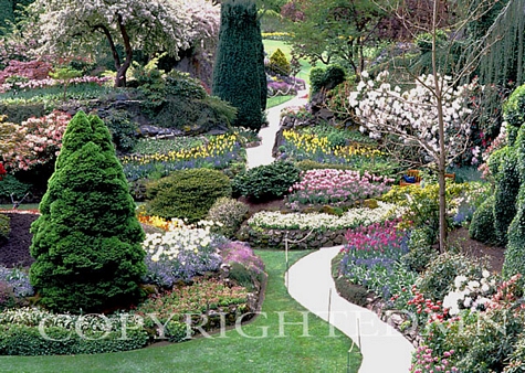 Butchart Gardens & Path, Victoria, Canada - Color