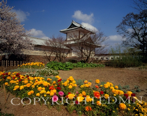 Castle Gate & Flowers, Kanazawa, Japan 05 – Color