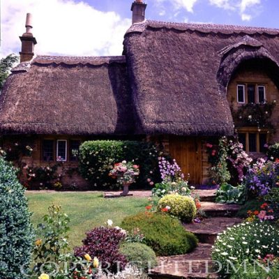Cottage With Flowered Walkway, England - Color