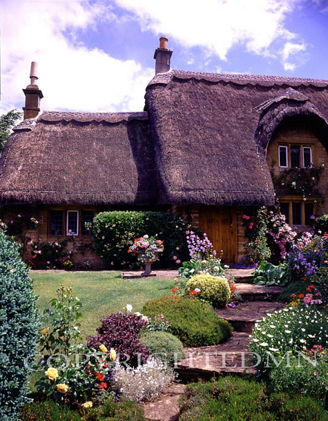 Cottage With Flowered Walkway, England – Color