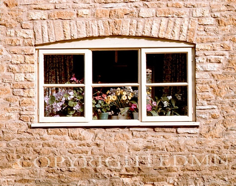 Flowers In The Window, Ireland - Color