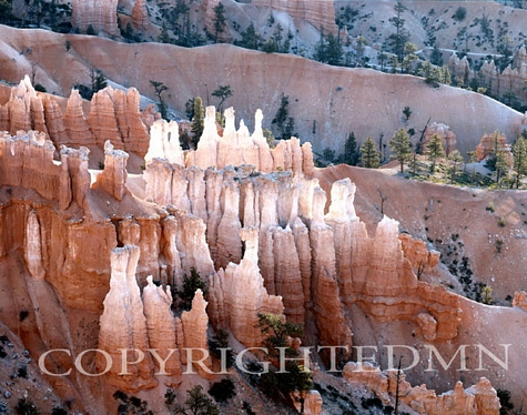 Hoodoo Formation, Bryce National Park, Utah - Color