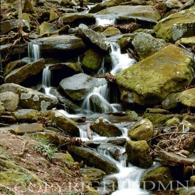 Moss & Stream, Smoky Mountains, Tennessee 93 - Color