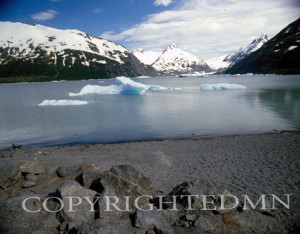 Portage Glacier #1, Alaska 85 - Color