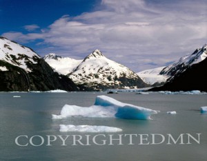Portage Glacier #2, Alaska 85 - Color