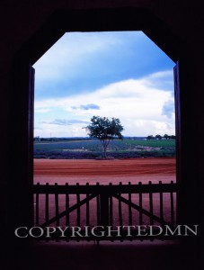 Arch & Lone Tree, Fredericksburg, Texas 07 - Color