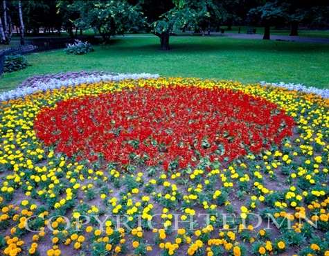 Circles Of Flowers, Cracow, Poland 05