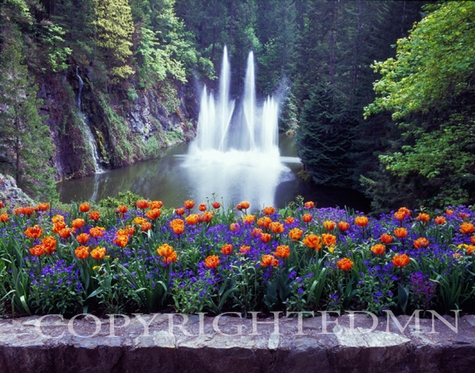 Butchart Garden Fountain, Vancouver, British Columbia 07 - Color