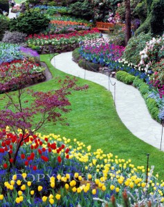 Butchart Gardens #10, Vancouver, British Columbia 07 - Color