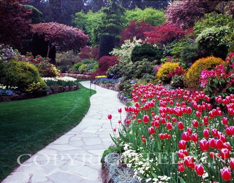 Butchart Gardens And Path #3, Vancouver, British Columbia 07 - Color