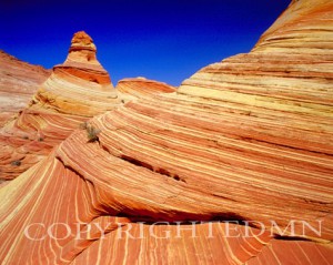 Sandstone Tower #1, Vermillion Cliffs Wilderness, Arizona 05 - Color