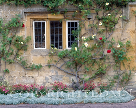Window In The Cotswolds, England 89 – Color
