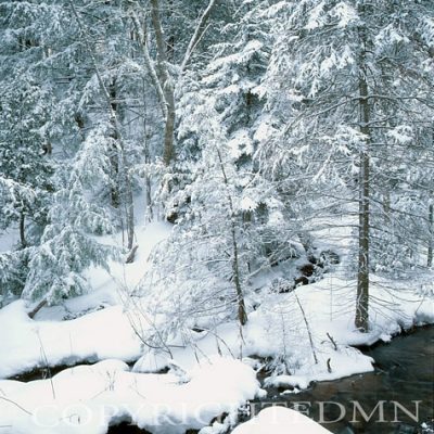Winter Stream, Michigan - Color