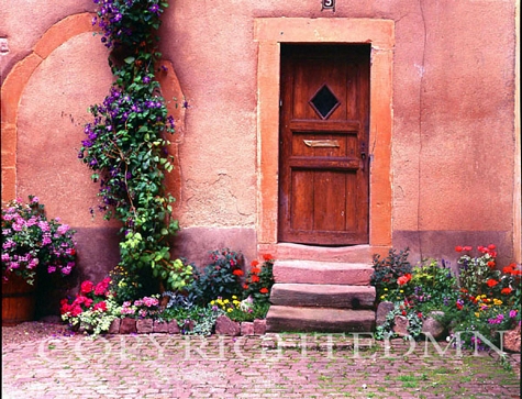 Wooden Door And Steps, France 99 - Color
